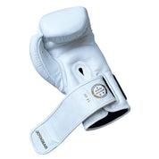 Joya kickboxing Glove 'White/Gold FALCON' Leather